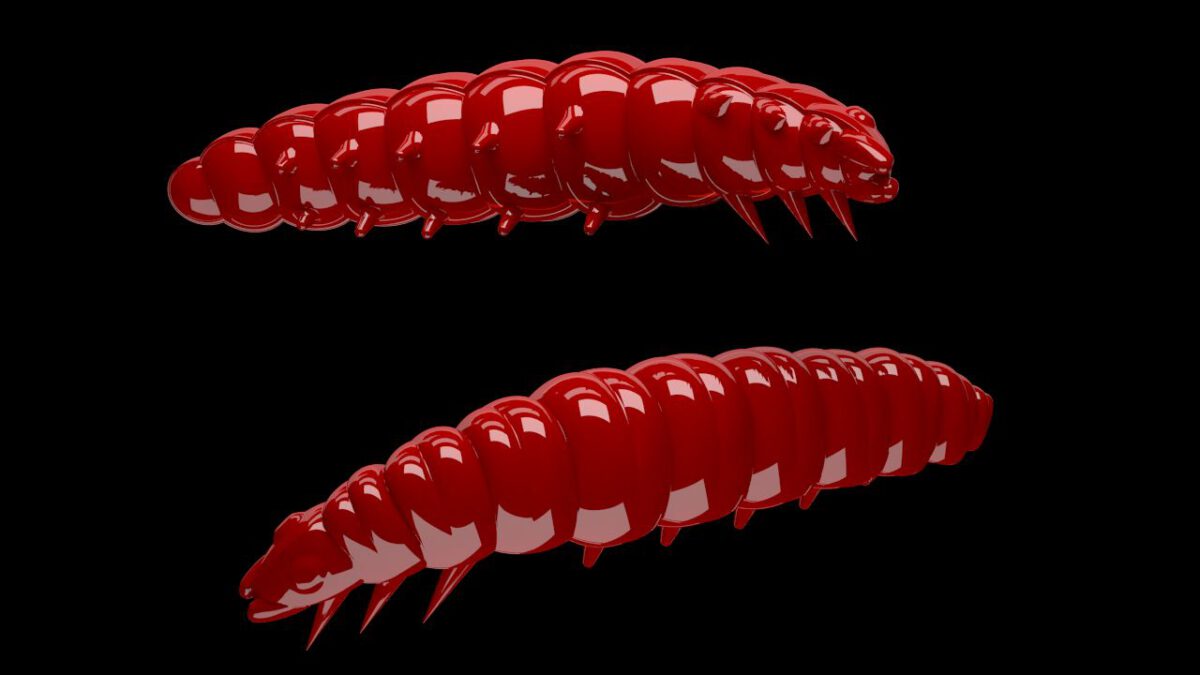 Larva 021 RED-jpg Larva 021 RED.jpg